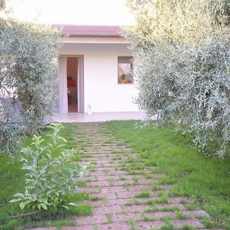 I Secolari Bed & Breakfast Sannicandro di Bari Eksteriør bilde